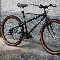 bianchi thomisus ragno