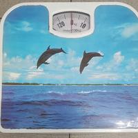 Bilancia Pesapersone