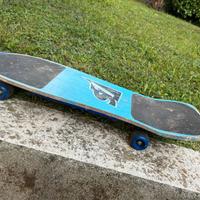 Skateboard cruiser