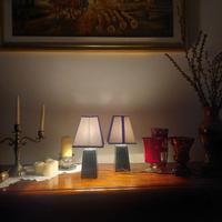 Abat jour vintage nere coppia