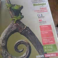 libri scolastici isbn 9788808440495