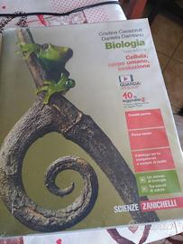 libri scolastici isbn 9788808440495