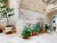 Immagine 23