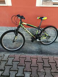 Mountain bike  da 24"