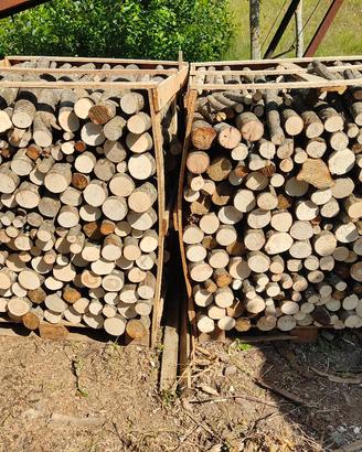 Legna da Ardere 🌳🪵🔥 X autunno - inverno 2026