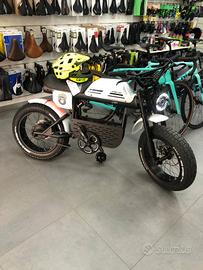 bicicletta elettrica 