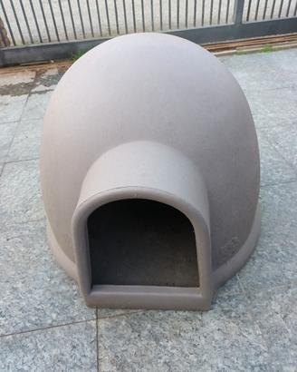 igloo cuccia