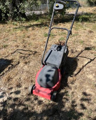 tagliaerba da giardino
