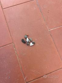 sassi offerti dalla chiesa ( sono sacri)