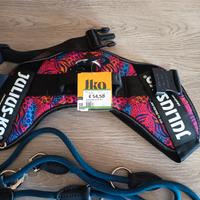 Guinzaglio più Pettorina x il cane Taglia Grande. 