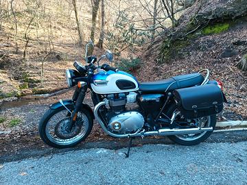 Triumph Bonneville - 2019