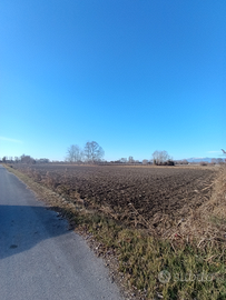 Terreno agricolo con pozzo di irrigazione