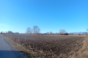 Terreno agricolo con pozzo di irrigazione