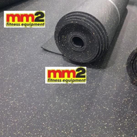 pavimento gommato GATEPRO a rotolo colorato