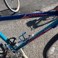 Bici Godsun