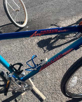 Bici Godsun
