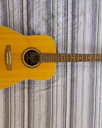 Chitarra semiacustica elettrificata Norman