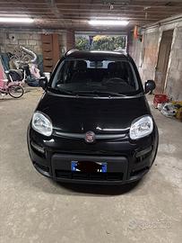 Fiat panda 2024
