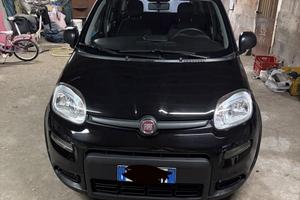 Fiat panda 2024