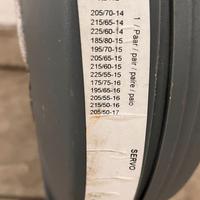 Catene da neve Pewag Servo