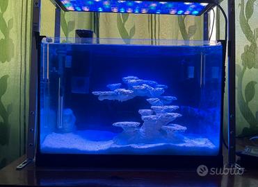 Rocciata nanoreef aquascape