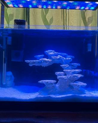 Rocciata nanoreef aquascape