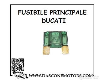 Fusibile Principale Ducati