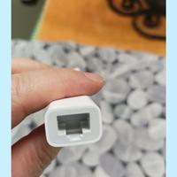 Adattatore Apple Thunderbolt