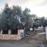 villa-singola-a-minturno