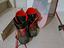 Immagine 1