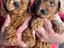 Immagine 1