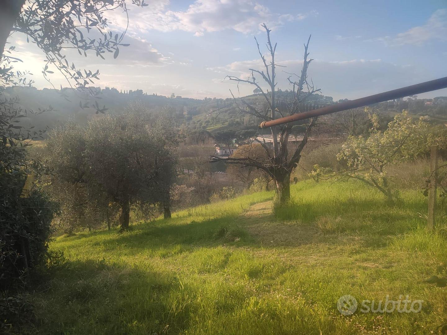 Terreno agricolo zona Mezzaluna - Mentana - Vista 6