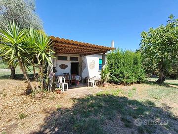 Appartamento Vasanello [Cod. rif 3255059VRG]