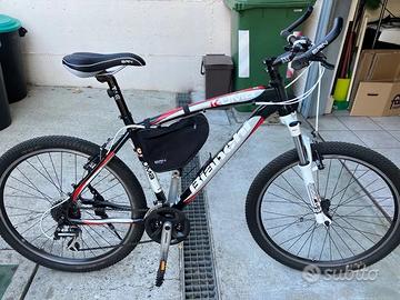 Bianchi kuma 4650 new arrivals