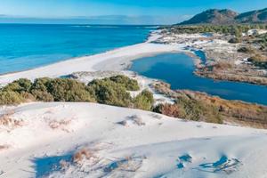 Capo comino. sos appentos