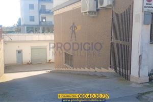 Ampio e luminoso locale commerciale a Bisceglie