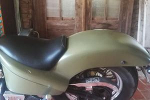 Parafango posteriore x Honda shadow 600