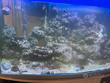 Rocce per acquario marino