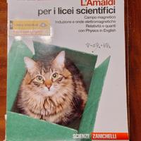 L'Amaldi (3)