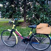 Bici Olandesina
