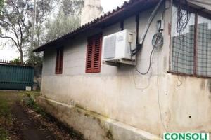 Rustico con terreno a Fiumefreddo