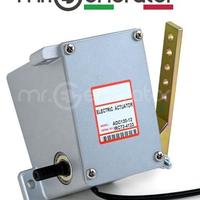 Attuatore motore ADC120-12 per gruppo elettrogeno
