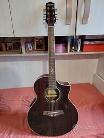 Chitarra Acustica Amplificata Ibanez EW 20