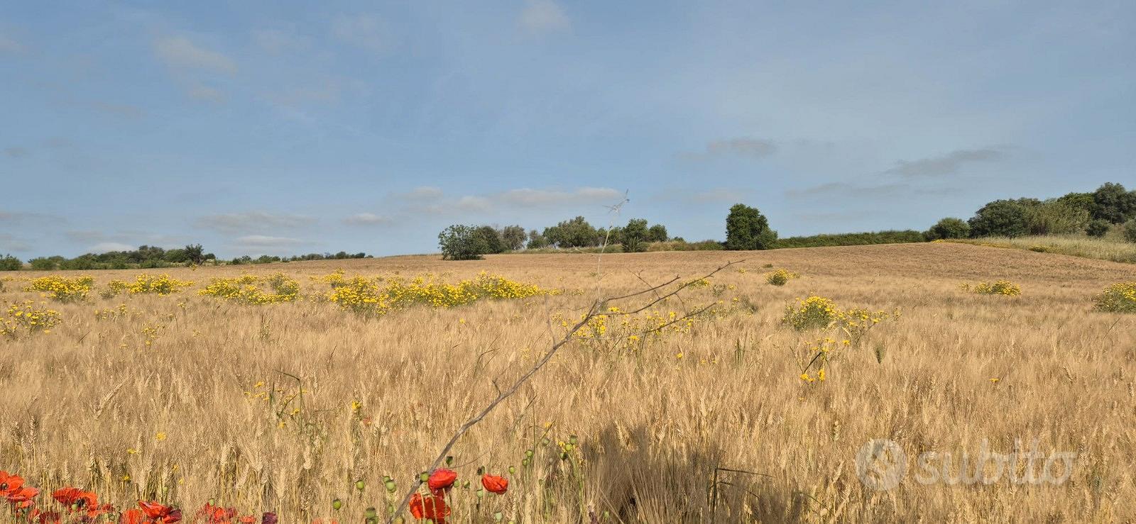 Terreno in Contrada Pianetti s.n.c., Sacro Cuore - Vista 4