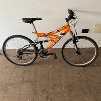 Bicicletta