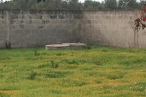 Terreno in zona marittima