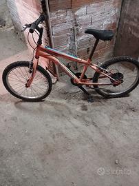 Bici Bimbo