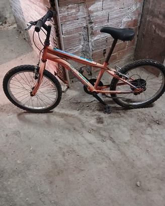 Bici Bimbo