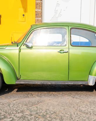 MAGGIOLONE 1300 del 1973