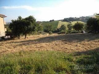 Terreno Edificabile con uliveto